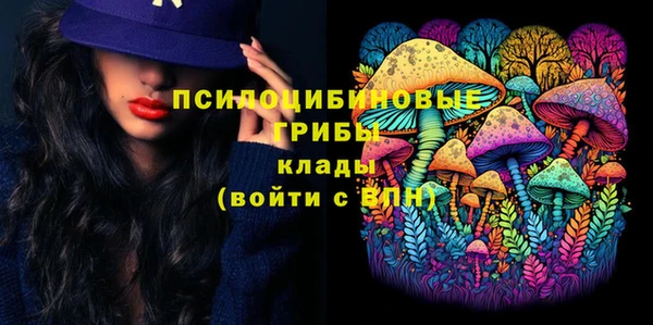 PSILOCYBIN Алзамай