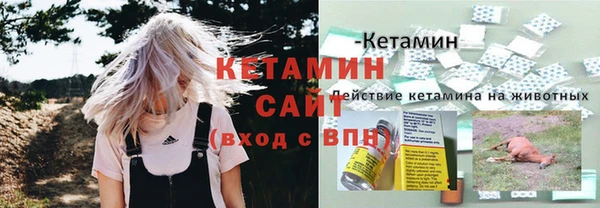 экстази Арсеньев
