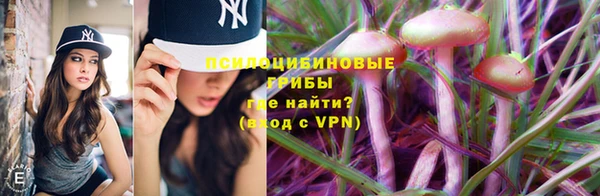 a pvp Аркадак