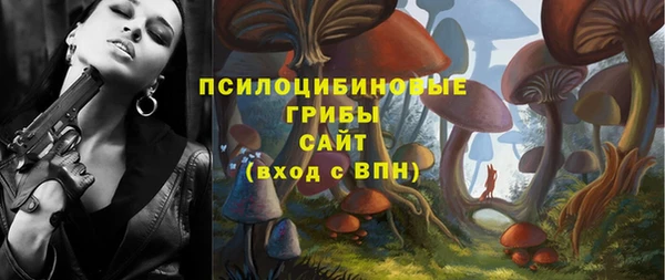 экстази Арсеньев