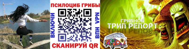 где купить наркотик  Бахчисарай  нарко площадка какой сайт  Галлюциногенные грибы Cubensis 