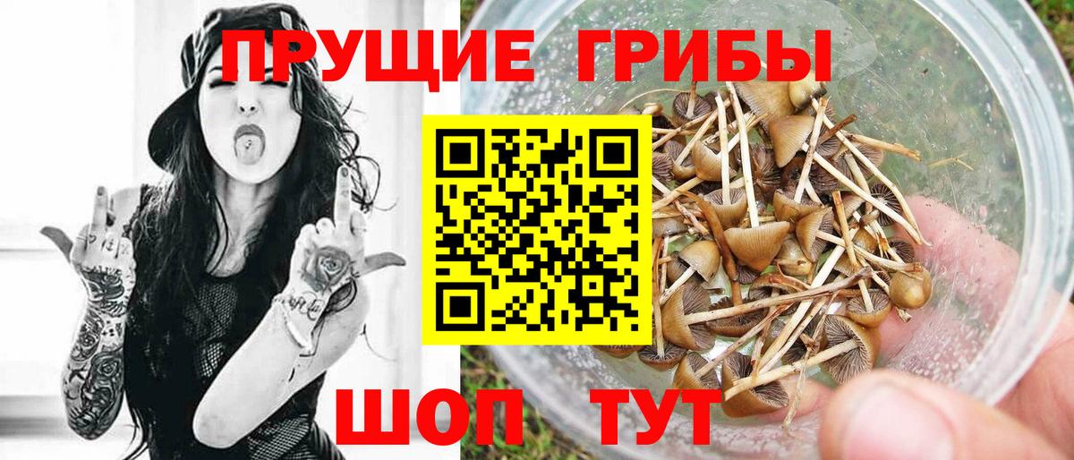 Галлюциногенные грибы Cubensis  Вход с VPN  Бахчисарай 